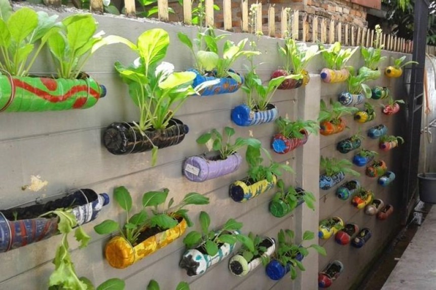 SI TARU MESARI - Sistem Informasi Terpadu Pekarangan Pangan Keluarga Mandiri Lestari